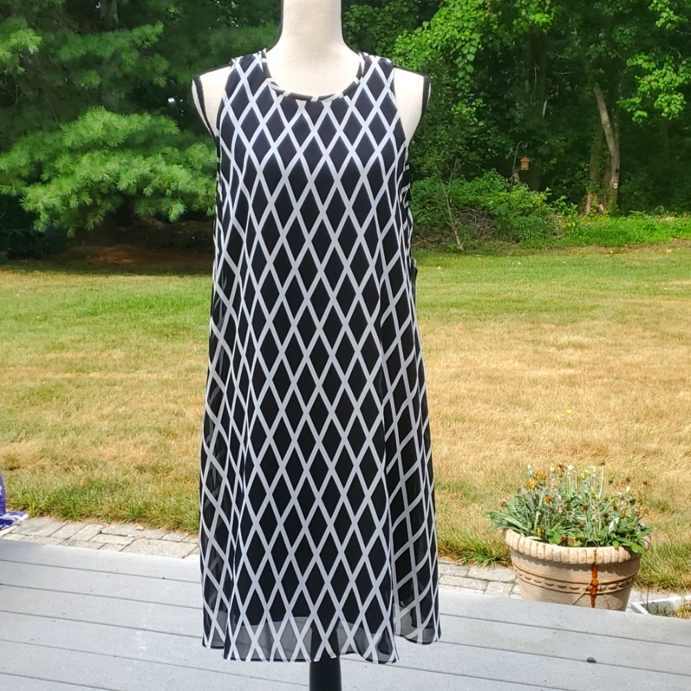 NWT Sandra Darren Sleeveless Swing Dress